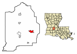 Evangeline Parish Louisiana Incorporated and Unincorporated areas Ville Platte Highlighted